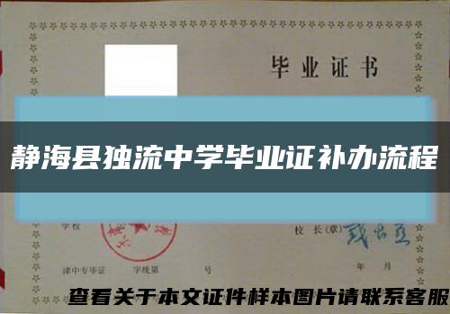 静海县独流中学毕业证补办流程缩略图