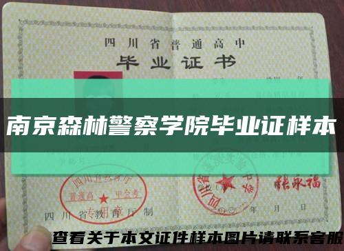 南京森林警察学院毕业证样本缩略图