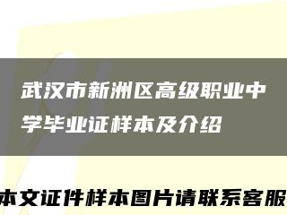 武汉市新洲区高级职业中学毕业证样本及介绍缩略图