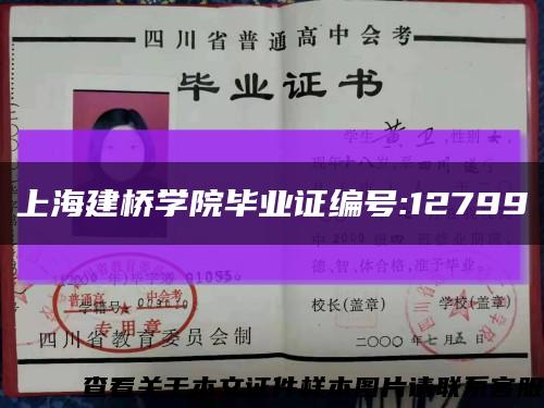上海建桥学院毕业证编号:12799缩略图