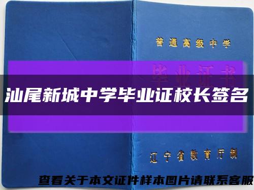 汕尾新城中学毕业证校长签名缩略图