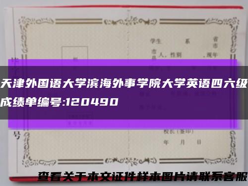 天津外国语大学滨海外事学院大学英语四六级成绩单编号:120490缩略图
