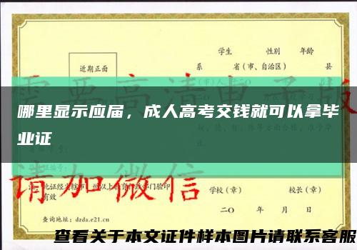 哪里显示应届，成人高考交钱就可以拿毕业证缩略图