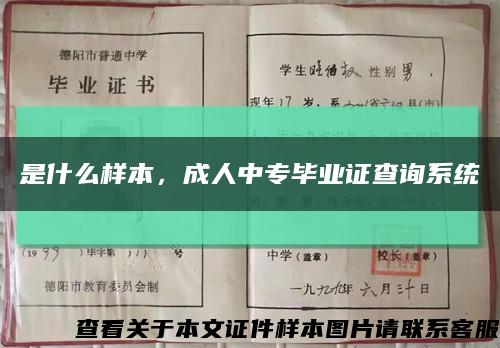 是什么样本，成人中专毕业证查询系统缩略图