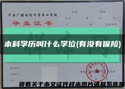 本科学历叫什么学位(有没有保险)缩略图