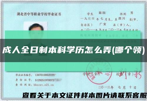 成人全日制本科学历怎么弄(哪个领)缩略图