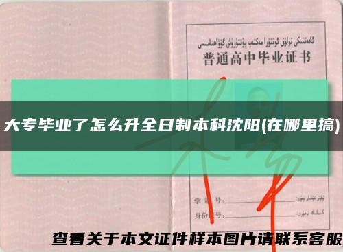 大专毕业了怎么升全日制本科沈阳(在哪里搞)缩略图