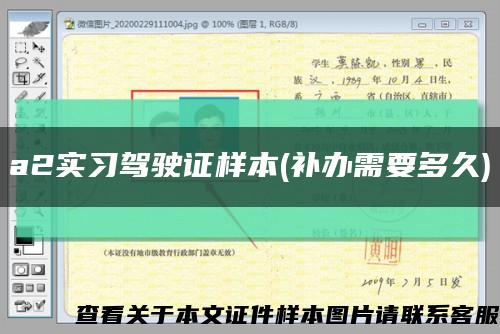 a2实习驾驶证样本(补办需要多久)缩略图