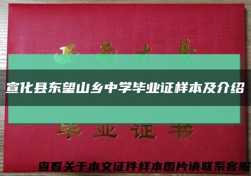 宣化县东望山乡中学毕业证样本及介绍缩略图