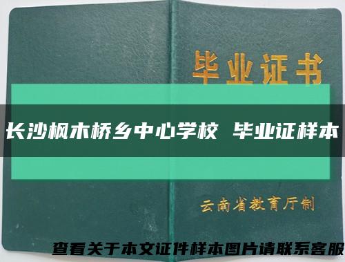 长沙枫木桥乡中心学校 毕业证样本缩略图