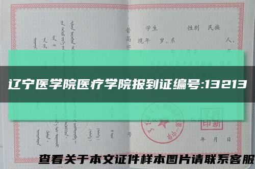 辽宁医学院医疗学院报到证编号:13213缩略图
