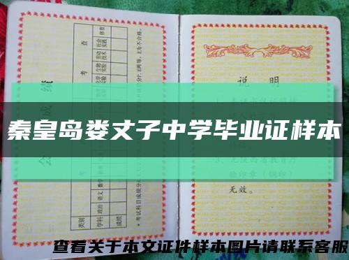 秦皇岛娄丈子中学毕业证样本缩略图