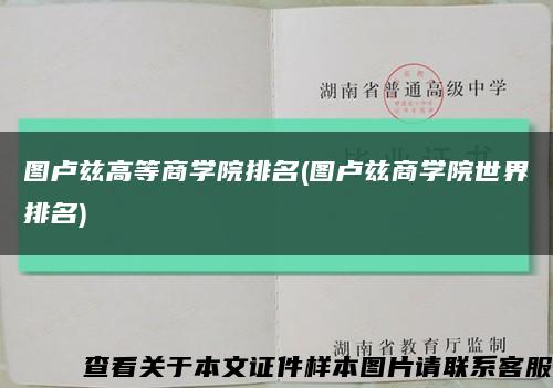图卢兹高等商学院排名(图卢兹商学院世界排名)缩略图