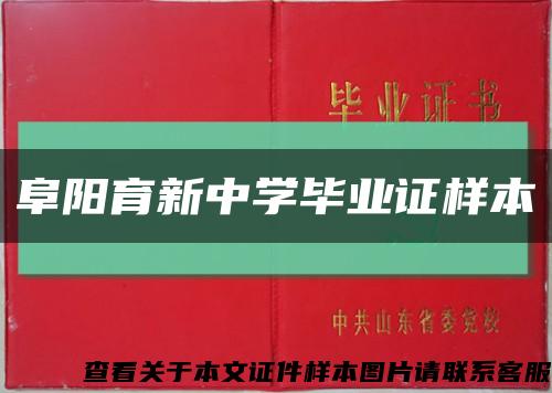阜阳育新中学毕业证样本缩略图