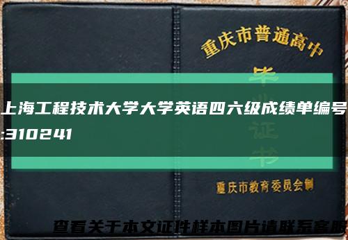 上海工程技术大学大学英语四六级成绩单编号:310241缩略图