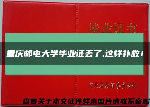 重庆邮电大学毕业证丢了,这样补救！缩略图