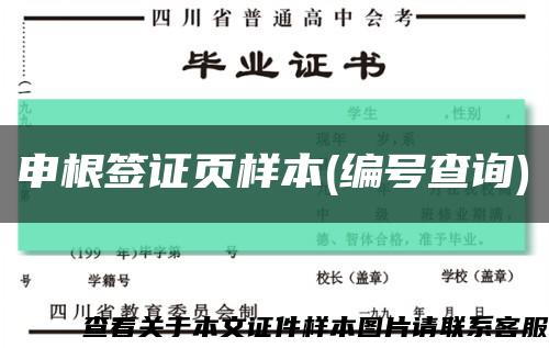 申根签证页样本(编号查询)缩略图