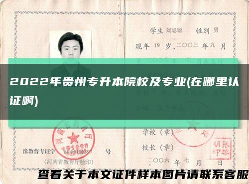 2022年贵州专升本院校及专业(在哪里认证啊)缩略图
