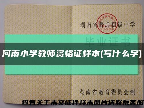 河南小学教师资格证样本(写什么字)缩略图