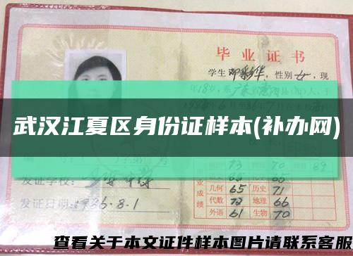 武汉江夏区身份证样本(补办网)缩略图