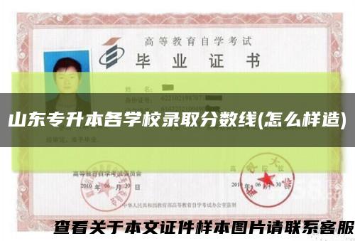 山东专升本各学校录取分数线(怎么样造)缩略图