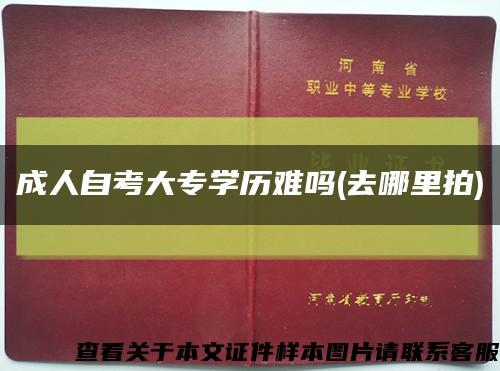 成人自考大专学历难吗(去哪里拍)缩略图
