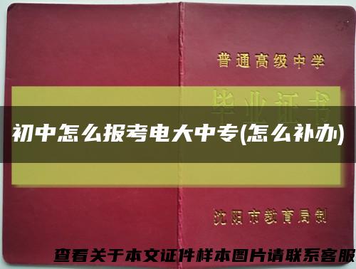 初中怎么报考电大中专(怎么补办)缩略图