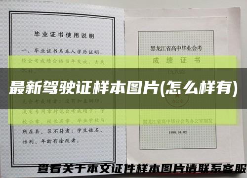 最新驾驶证样本图片(怎么样有)缩略图