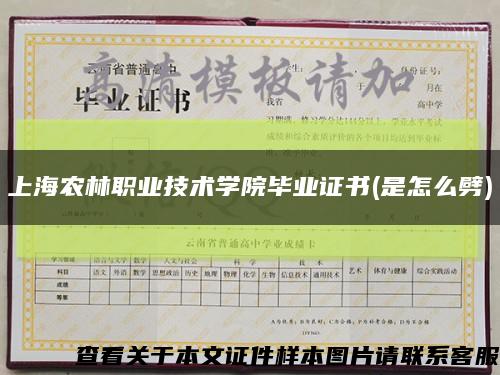 上海农林职业技术学院毕业证书(是怎么劈)缩略图
