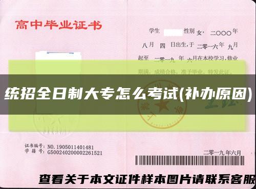 统招全日制大专怎么考试(补办原因)缩略图