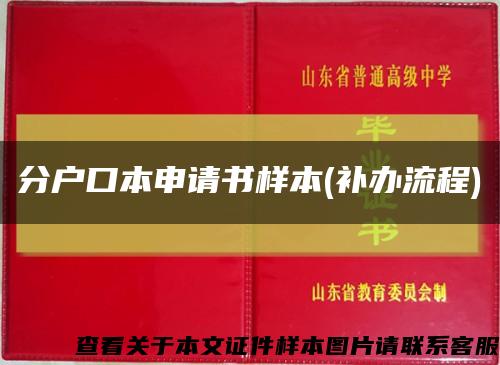 分户口本申请书样本(补办流程)缩略图
