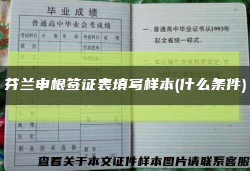 芬兰申根签证表填写样本(什么条件)缩略图