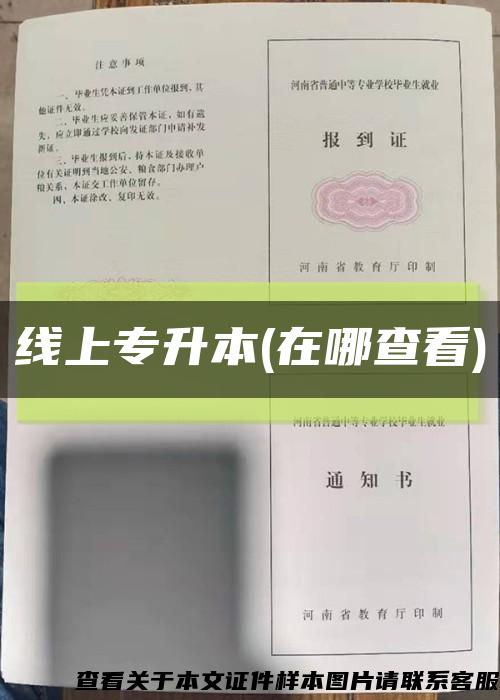 线上专升本(在哪查看)缩略图