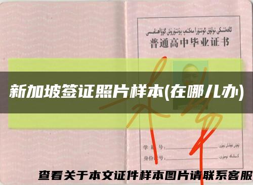 新加坡签证照片样本(在哪儿办)缩略图