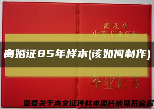 离婚证85年样本(该如何制作)缩略图
