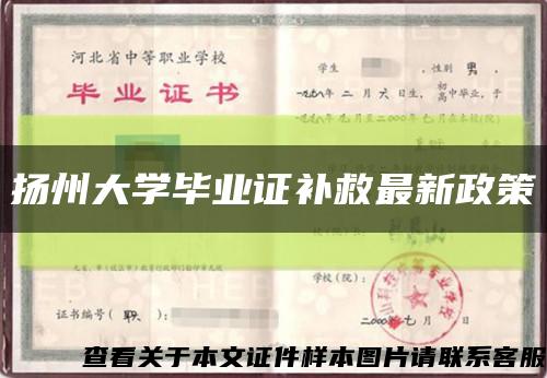 扬州大学毕业证补救最新政策缩略图
