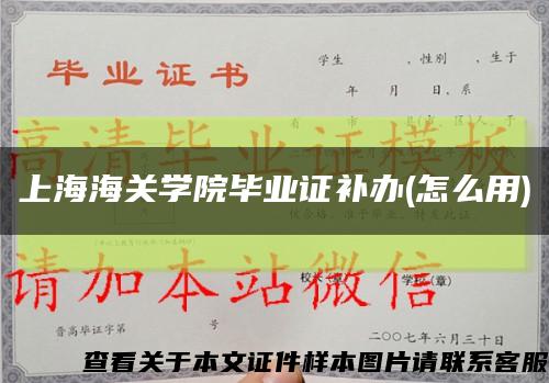 上海海关学院毕业证补办(怎么用)缩略图