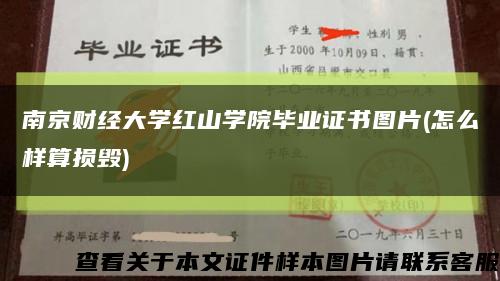 南京财经大学红山学院毕业证书图片(怎么样算损毁)缩略图