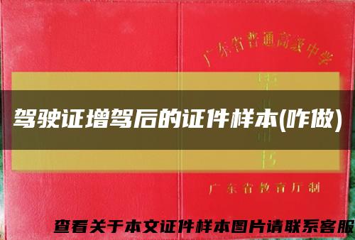 驾驶证增驾后的证件样本(咋做)缩略图
