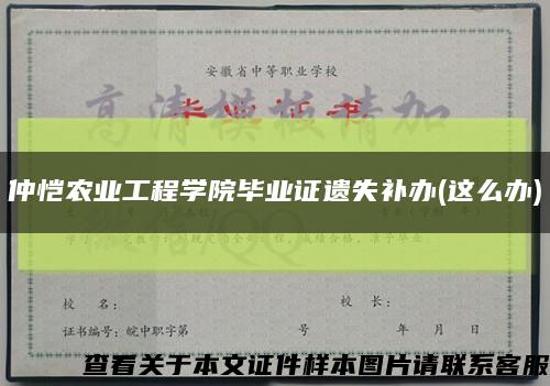 仲恺农业工程学院毕业证遗失补办(这么办)缩略图