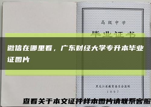 微信在哪里看，广东财经大学专升本毕业证图片缩略图