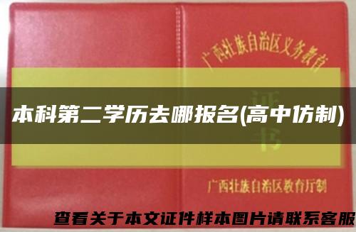 本科第二学历去哪报名(高中仿制)缩略图