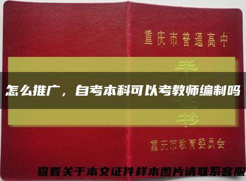 怎么推广，自考本科可以考教师编制吗缩略图