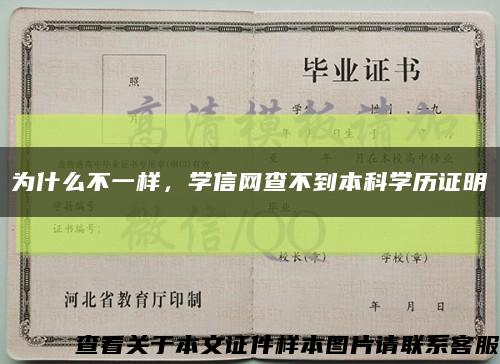 为什么不一样，学信网查不到本科学历证明缩略图