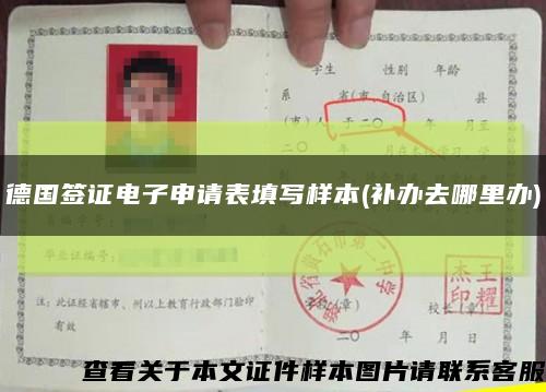 德国签证电子申请表填写样本(补办去哪里办)缩略图