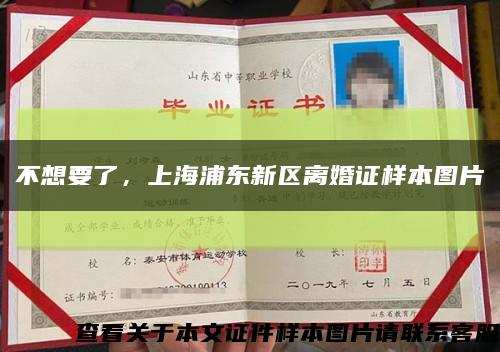 不想要了，上海浦东新区离婚证样本图片缩略图