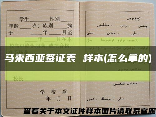 马来西亚签证表 样本(怎么拿的)缩略图