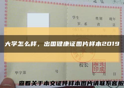 大学怎么样，出国健康证图片样本2019缩略图