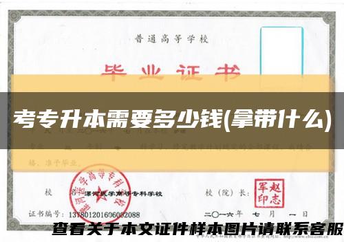 考专升本需要多少钱(拿带什么)缩略图