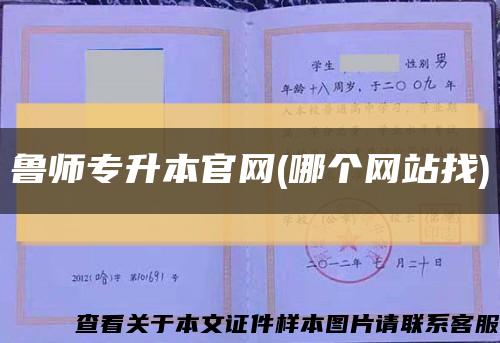 鲁师专升本官网(哪个网站找)缩略图